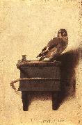 FABRITIUS, Carel The Goldfinch dfgh oil